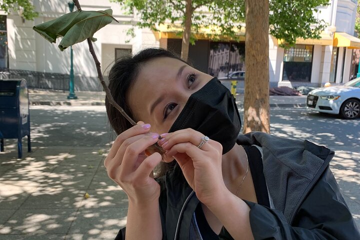 Santa Monica Scavenger Hunt - Photo 1 of 6